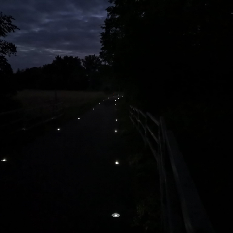LED konflíky SENICA